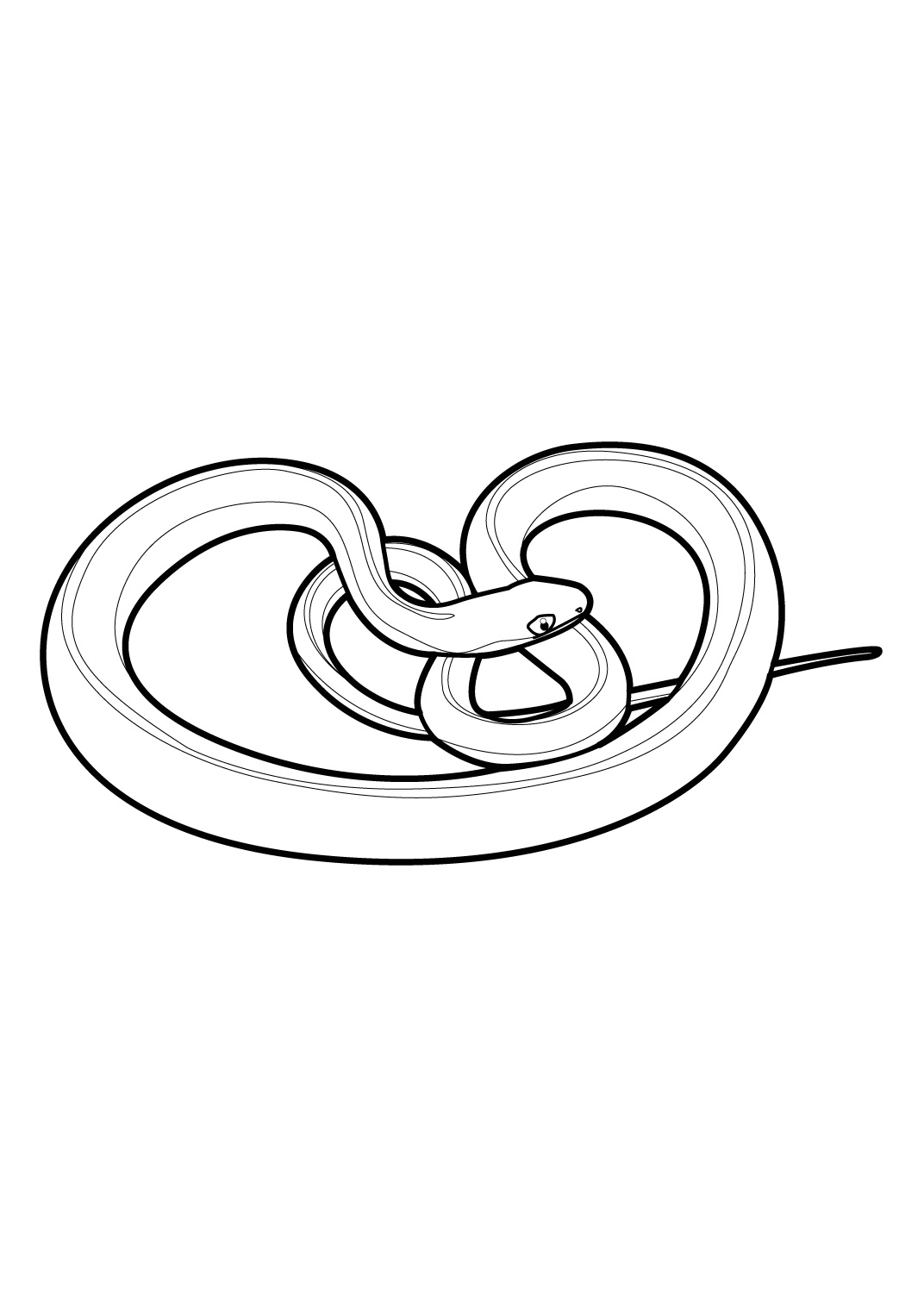 Dibujo para colorear: Serpiente (Animales) #14430 - Dibujos para Colorear e Imprimir Gratis