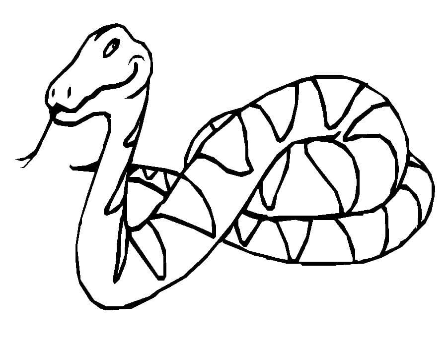 Dibujo gratuito Serpiente #175127 de la coleccion Animales para imprimir
