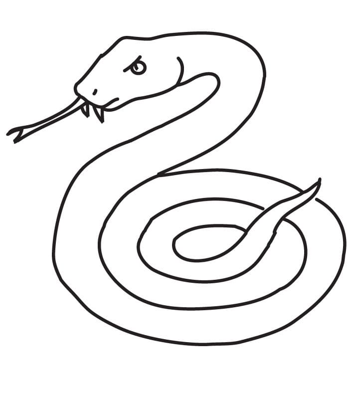 Dibujo gratuito Serpiente #175142 de la coleccion Animales para imprimir