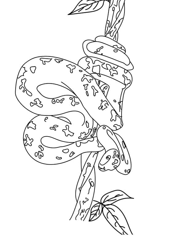 Dibujo gratuito Serpiente #175151 de la coleccion Animales para imprimir
