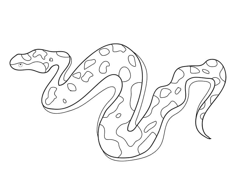 Dibujo gratuito Serpiente #175159 de la coleccion Animales para imprimir
