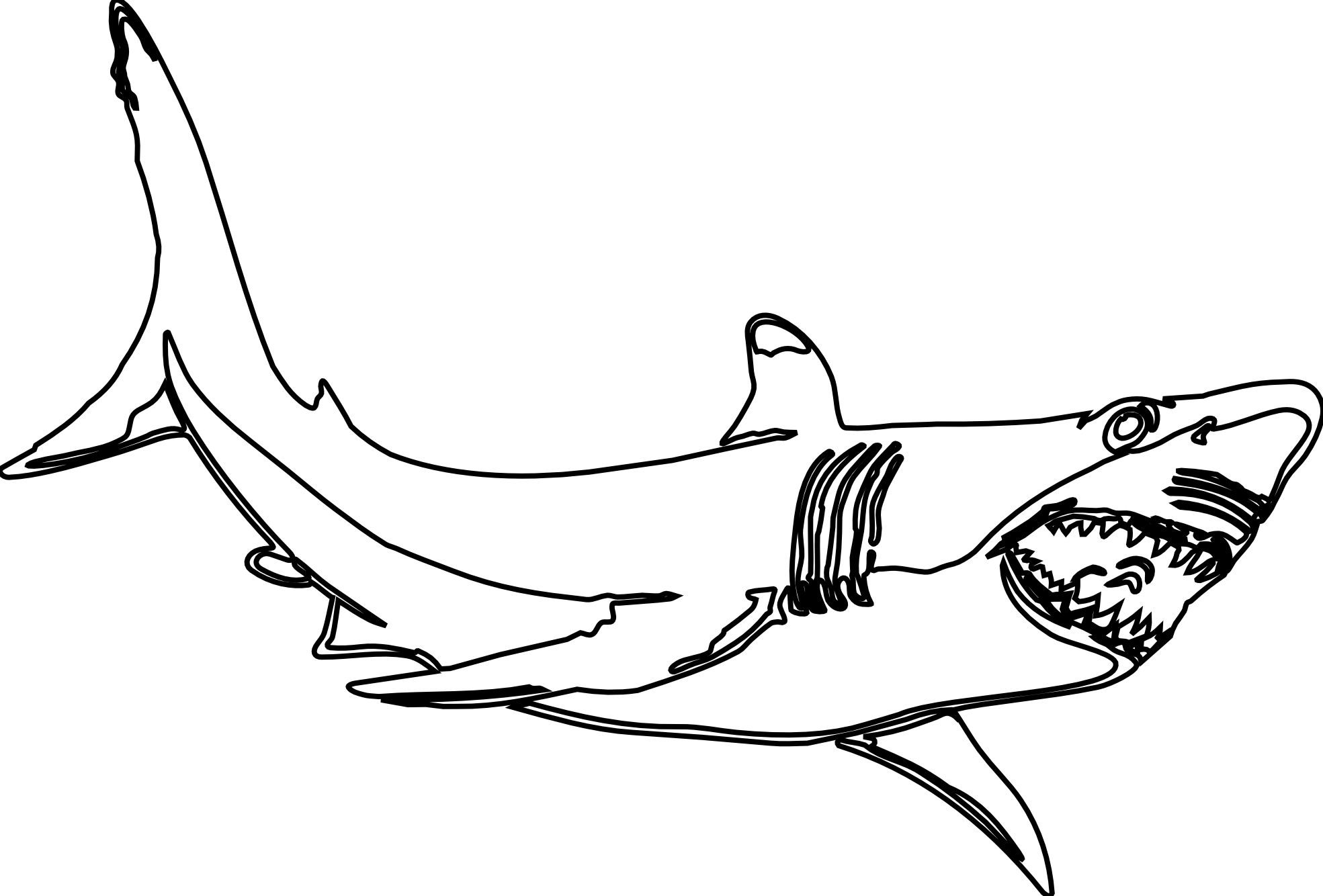 dibujos de tiburón 14837 animales para colorear páginas