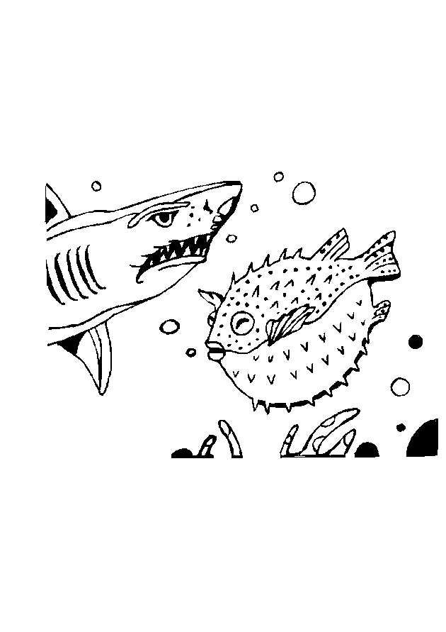 Dibujo para colorear: Tiburón (Animales) #14856 - Dibujos para Colorear e Imprimir Gratis