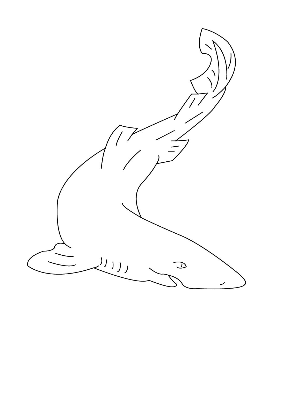 Dibujo para colorear: Tiburón (Animales) #14907 - Dibujos para Colorear e Imprimir Gratis