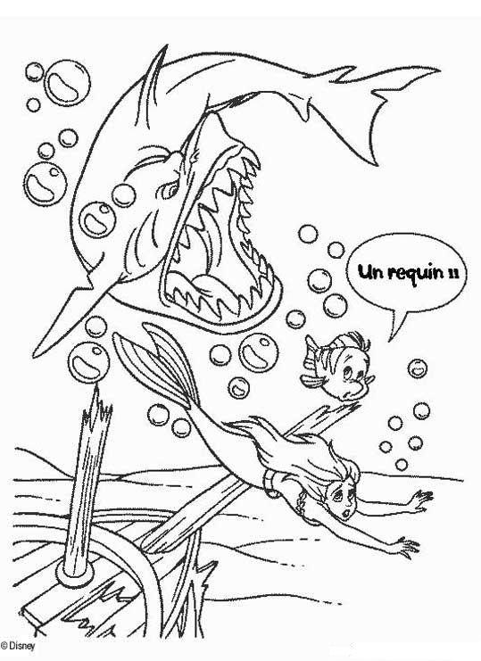 Dibujo para colorear: Tiburón (Animales) #14938 - Dibujos para Colorear e Imprimir Gratis
