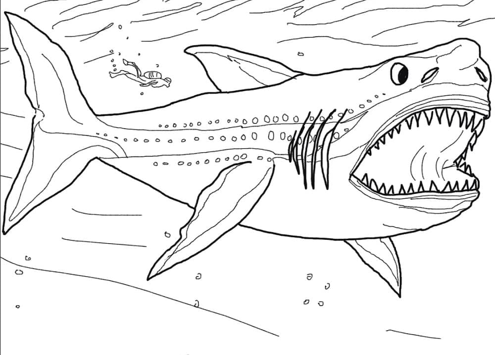 Dibujo gratuito Tiburón #177714 de la coleccion Animales para imprimir