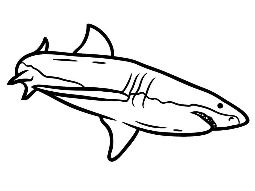 Dibujo gratuito Tiburón #177722 de la coleccion Animales para imprimir