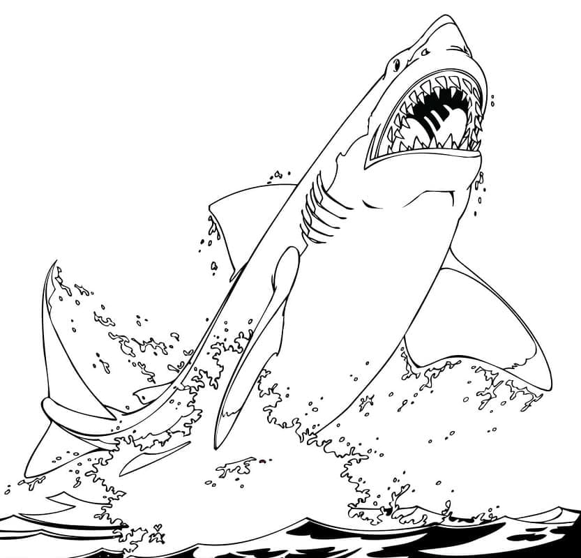 Dibujo gratuito Tiburón #217020 de la coleccion Animales para imprimir