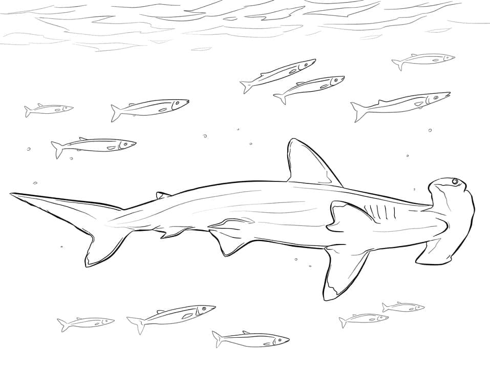 Dibujo gratuito Tiburón martillo #221014 de la coleccion Animales para imprimir