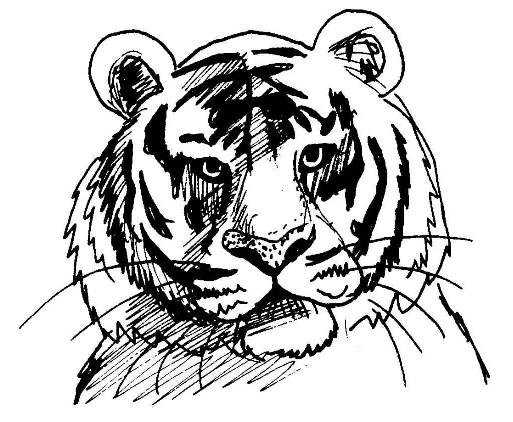 dibujos de tigre 13610 animales para colorear páginas imprimibles
