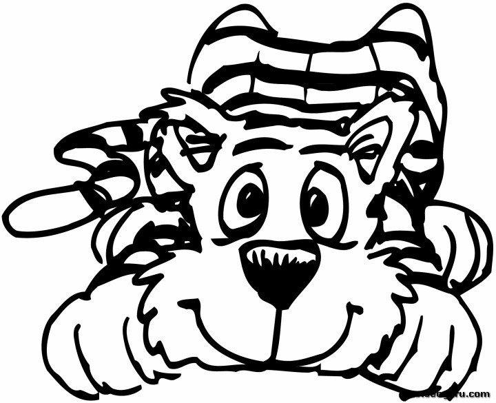 Dibujo para colorear: Tigre (Animales) #13694 - Dibujos para Colorear e Imprimir Gratis
