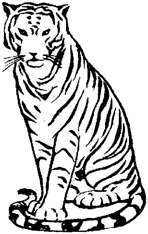 Dibujo para colorear: Tigre (Animales) #13736 - Dibujos para Colorear e Imprimir Gratis