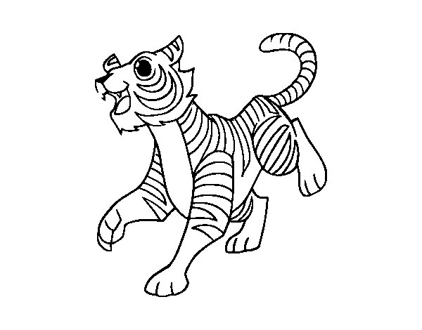 Dibujo para colorear: Tigre (Animales) #13770 - Dibujos para Colorear e Imprimir Gratis