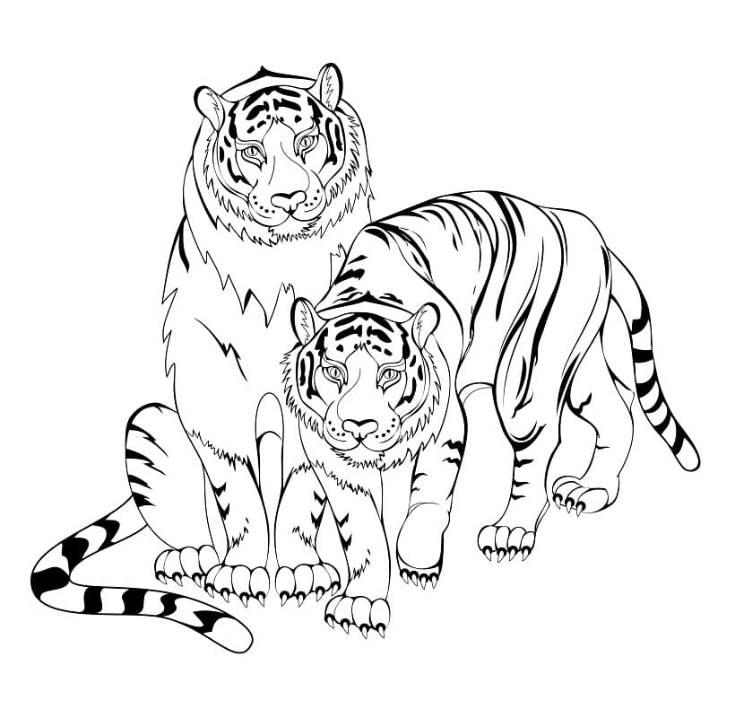Dibujo gratuito Tigre #174936 de la coleccion Animales para imprimir Dibujo gratuito Tigre #174936 de la coleccion Animales para imprimir