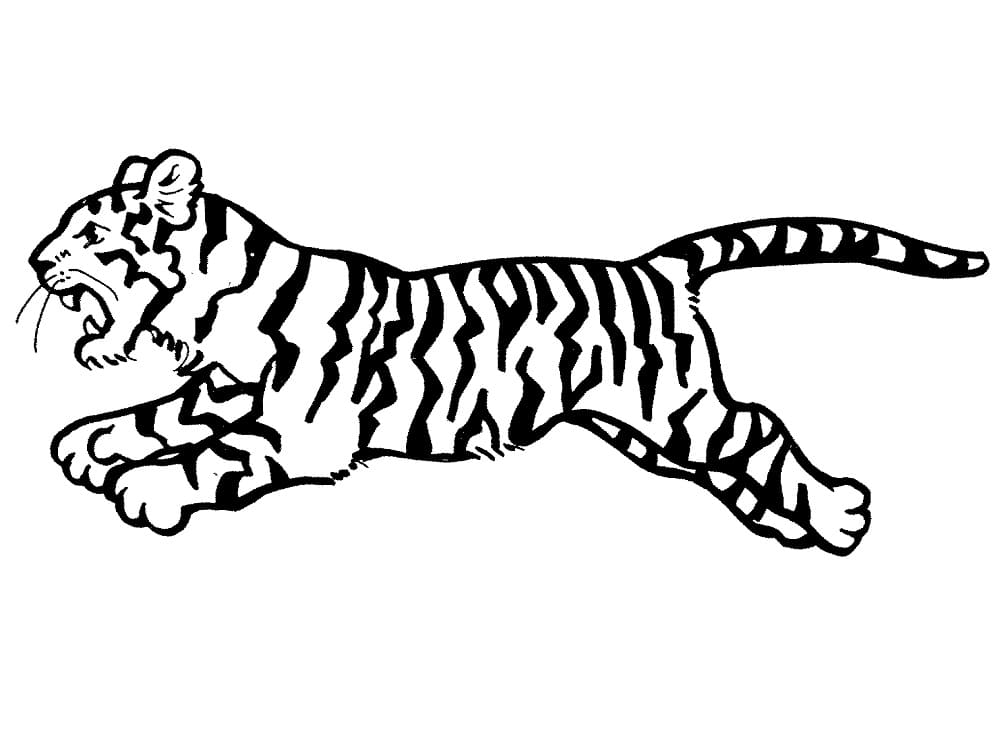 Dibujo gratuito Tigre #174942 de la coleccion Animales para imprimir Dibujo gratuito Tigre #174942 de la coleccion Animales para imprimir