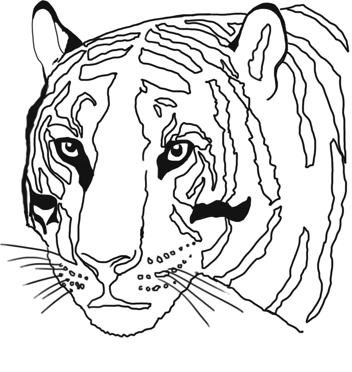 Dibujo gratuito Tigre #174947 de la coleccion Animales para imprimir