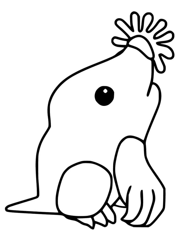 Dibujo gratuito Topo #210772 de la coleccion Animales para imprimir