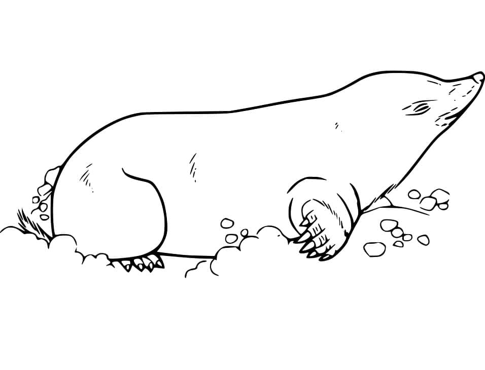 Dibujo gratuito Topo #210777 de la coleccion Animales para imprimir