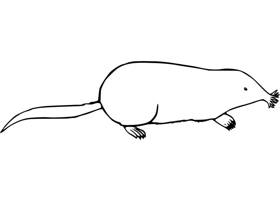 Dibujo gratuito Topo #210789 de la coleccion Animales para imprimir