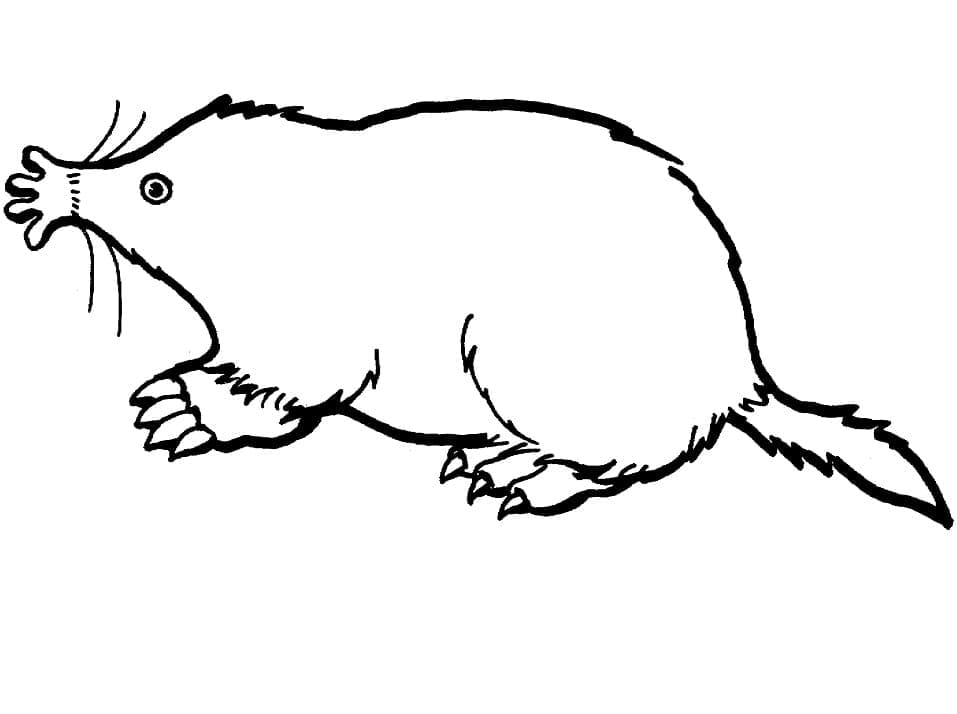 Dibujo gratuito Topo #210792 de la coleccion Animales para imprimir