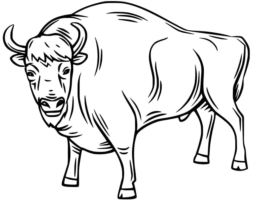Dibujo gratuito Toro #188592 de la coleccion Animales para imprimir