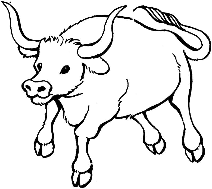 Dibujo gratuito Toro #188598 de la coleccion Animales para imprimir Dibujo gratuito Toro #188598 de la coleccion Animales para imprimir