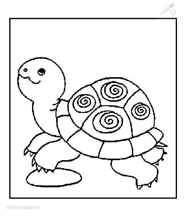 Dibujo para colorear: Tortuga (Animales) #13432 - Dibujos para Colorear e Imprimir Gratis