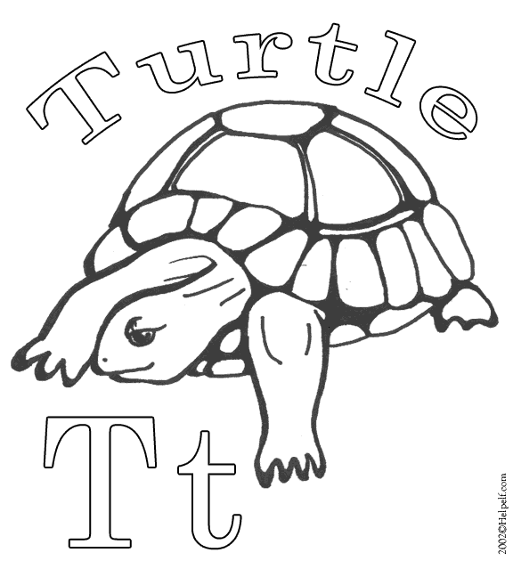 Dibujo para colorear: Tortuga (Animales) #13462 - Dibujos para Colorear e Imprimir Gratis