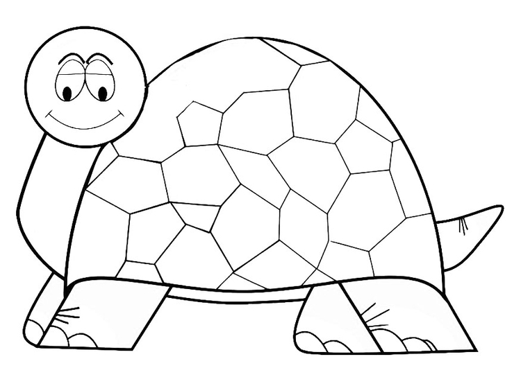 Dibujo para colorear: Tortuga (Animales) #13464 - Dibujos para Colorear e Imprimir Gratis