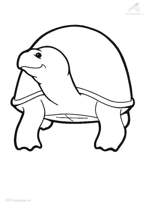 Dibujo para colorear: Tortuga (Animales) #13526 - Dibujos para Colorear e Imprimir Gratis