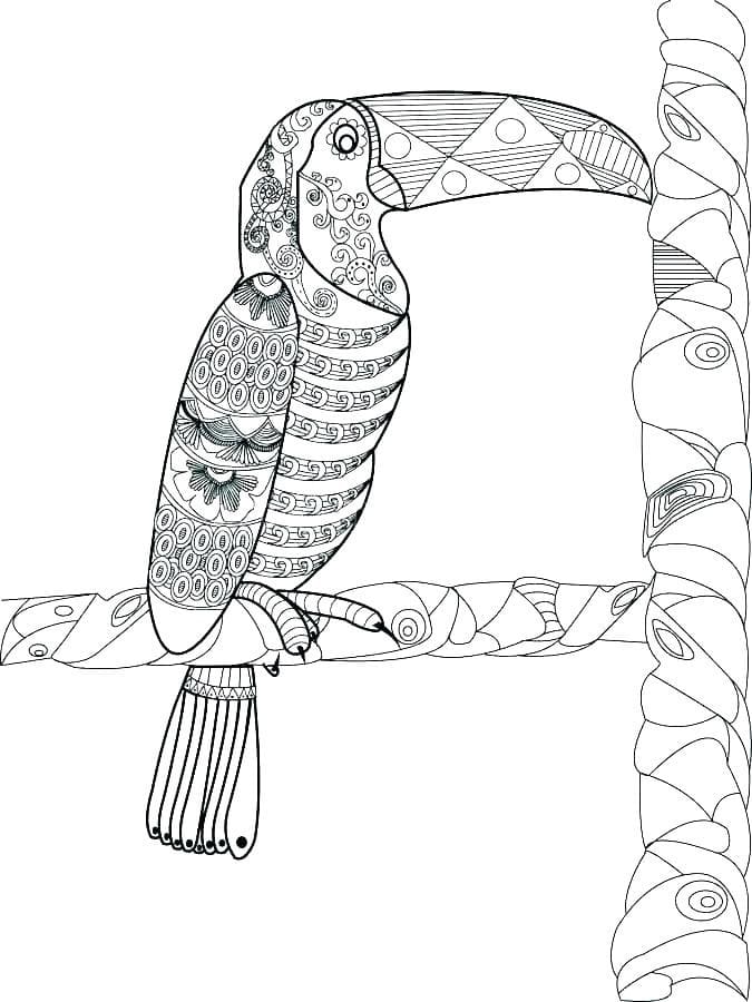 Dibujo gratuito Tucán #197555 de la coleccion Animales para imprimir