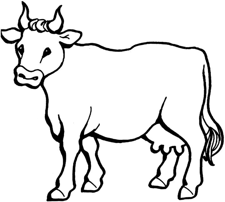  Dibujos de Vaca (Animales) para colorear y pintar – Páginas para imprimir