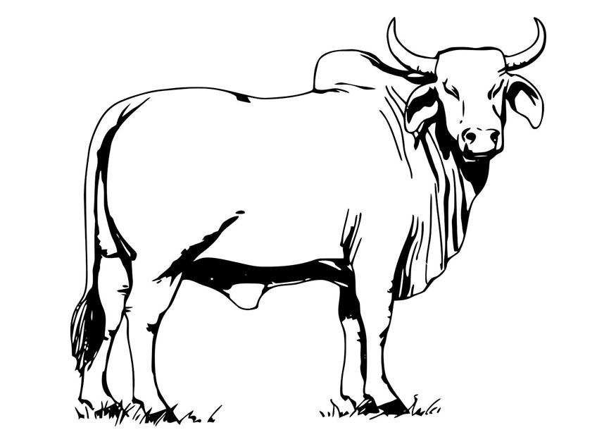 Dibujo para colorear: Vaca (Animales) #13260 - Dibujos para Colorear e Imprimir Gratis