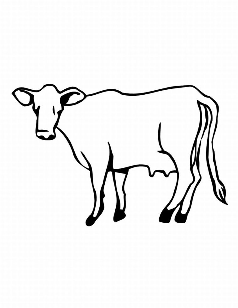 Dibujo para colorear: Vaca (Animales) #13274 - Dibujos para Colorear e Imprimir Gratis