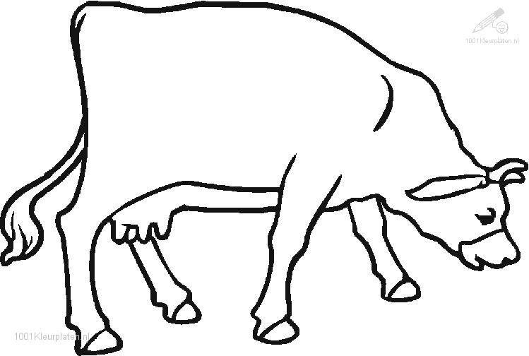 Dibujo para colorear: Vaca (Animales) #13291 - Dibujos para Colorear e Imprimir Gratis