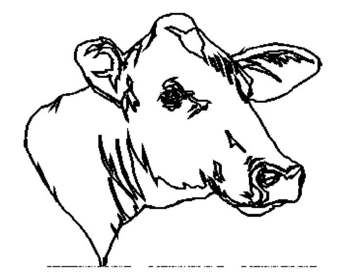 Dibujo para colorear: Vaca (Animales) #13380 - Dibujos para Colorear e Imprimir Gratis