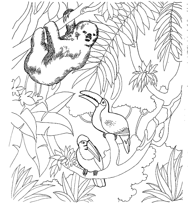 Dibujo para colorear: Zoo (Animales) #12655 - Dibujos para Colorear e Imprimir Gratis