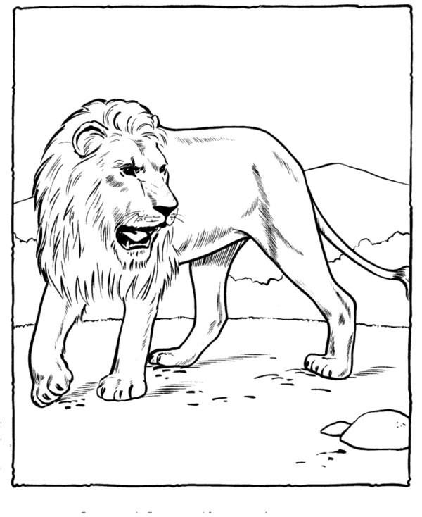Dibujo para colorear: Zoo (Animales) #12656 - Dibujos para Colorear e Imprimir Gratis
