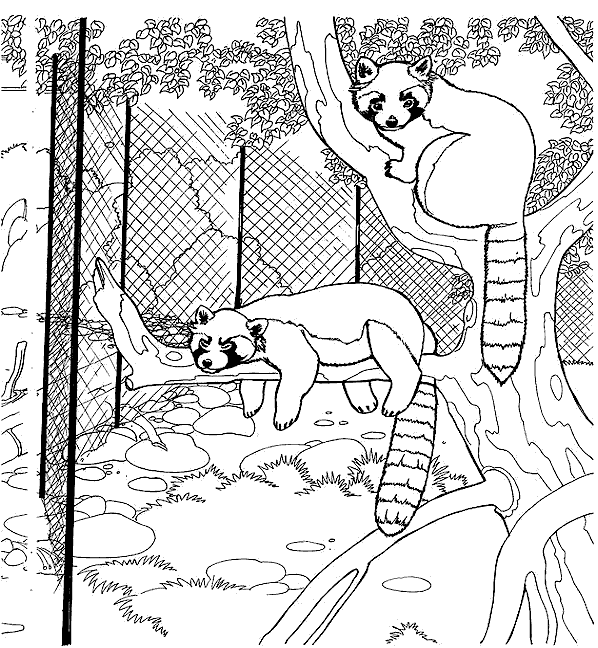 Dibujo para colorear: Zoo (Animales) #12702 - Dibujos para Colorear e Imprimir Gratis