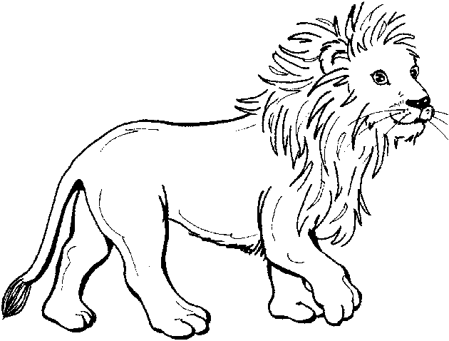 Dibujo para colorear: Zoo (Animales) #12707 - Dibujos para Colorear e Imprimir Gratis