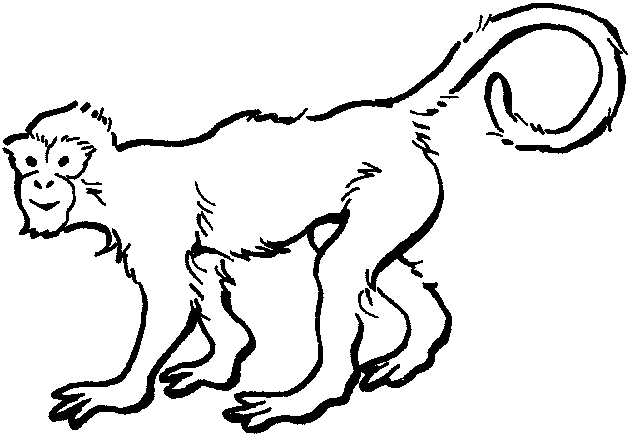 Dibujo para colorear: Zoo (Animales) #12732 - Dibujos para Colorear e Imprimir Gratis