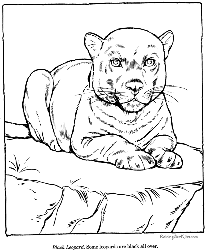 Dibujo para colorear: Zoo (Animales) #12733 - Dibujos para Colorear e Imprimir Gratis