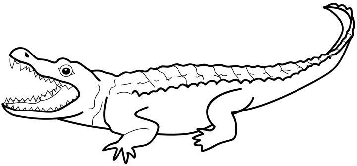 Dibujo para colorear: Zoo (Animales) #12779 - Dibujos para Colorear e Imprimir Gratis