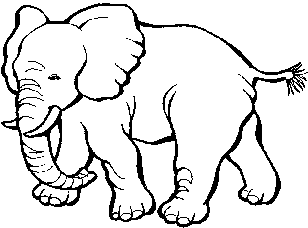 Dibujo para colorear: Zoo (Animales) #12787 - Dibujos para Colorear e Imprimir Gratis