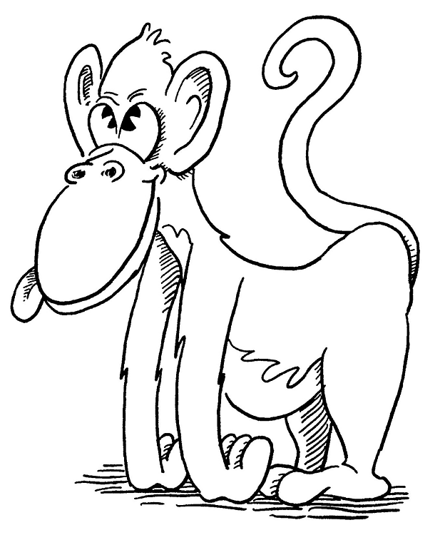 Dibujo para colorear: Zoo (Animales) #12802 - Dibujos para Colorear e Imprimir Gratis