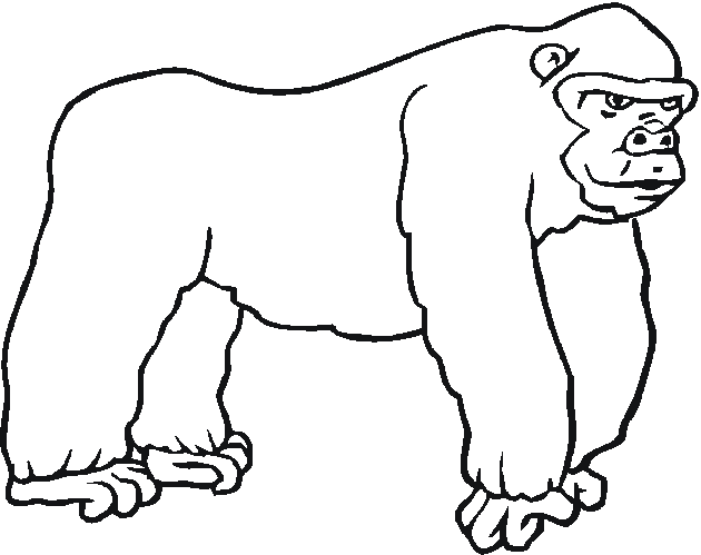 Dibujo para colorear: Zoo (Animales) #12813 - Dibujos para Colorear e Imprimir Gratis