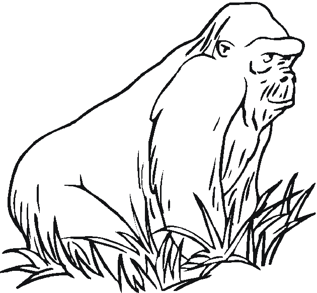 Dibujo para colorear: Zoo (Animales) #12819 - Dibujos para Colorear e Imprimir Gratis