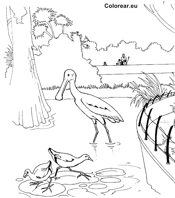 Dibujo para colorear: Zoo (Animales) #12833 - Dibujos para Colorear e Imprimir Gratis