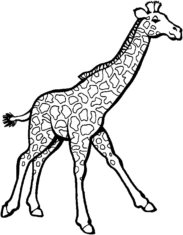 Dibujo para colorear: Zoo (Animales) #12841 - Dibujos para Colorear e Imprimir Gratis