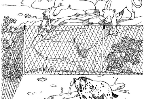 Dibujo para colorear: Zoo (Animales) #12846 - Dibujos para Colorear e Imprimir Gratis